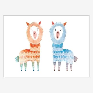 Dierenposter Noull - Alpaca's - Noull Posters: Twee Alpaca's
