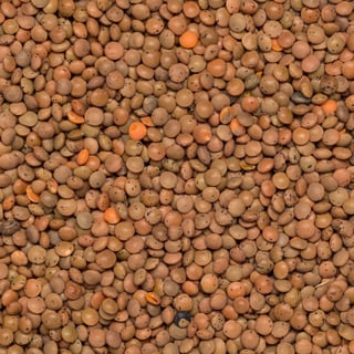 Lentils Brown Organic
