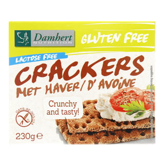 Damhert Glutenvrije Crackers Haver Lactosevrij