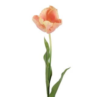 Kunstbloem Tulp Op Steel Peach Mix 70cm