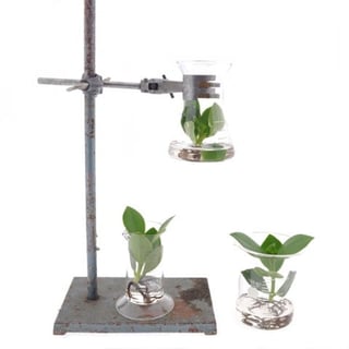 Hydroponics in a Pharmacy Bottle - AT series