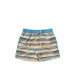 Salted Stories Swimshort Dyed Stripe Siem Multicolor