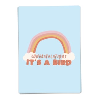 Kaartblanche Cardimals - Animal Love Bird