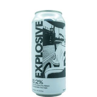 Fidens Brewing Co. Explosive (Burial Collab)