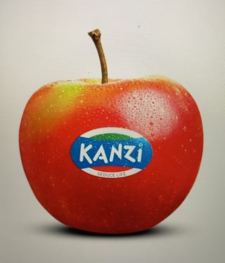 Kanzi Appels 2 Stuks