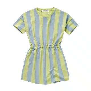 Sproet & Sprout Skater Dress Stripes Citrus