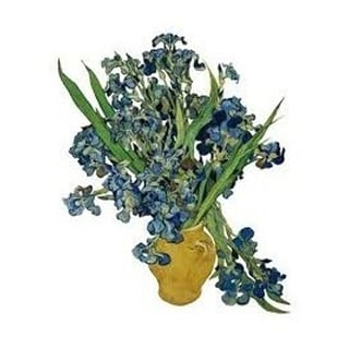 Flat Flowers Greetings Van Gogh Irissen