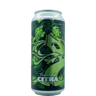 Tree House Brewing Co Evolution of Citra Part Six