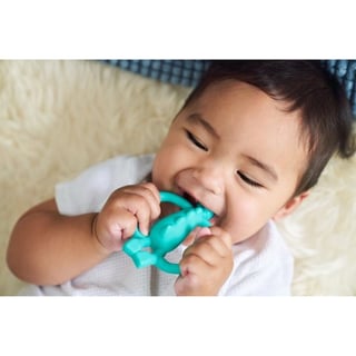Jungle Friends Teether Dino