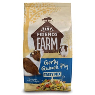 Tff Gerty Guinea Pig Tasty Mix