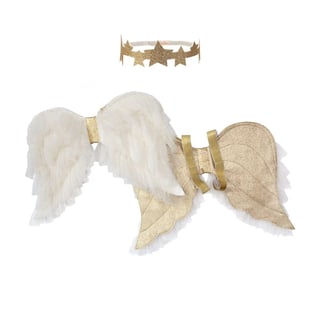 Meri Meri Tulle Angel Wings Dress-Up