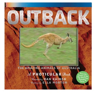 Photicular Ocean - a Photicular Book Outback