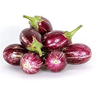 Small Brinjal