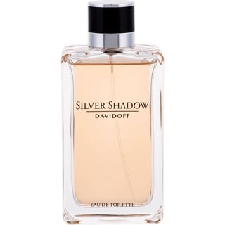 Davidoff Silver Shadow 100 Ml - Eau De Toilette - Herenparfum Davidoff Silver Shadow Voor Een Man Met Karakter