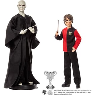 Harry Potter Harry en Voldemort