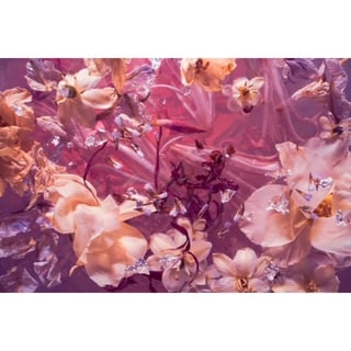 Fotokaart Pink Flowers
