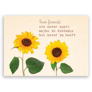 Postkaart True Friends