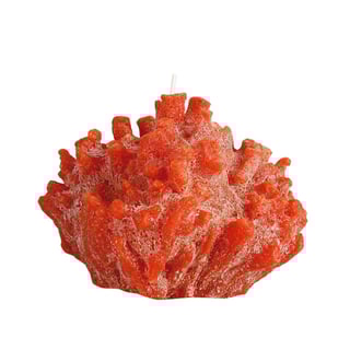 Cerabella Coral Candles - Red