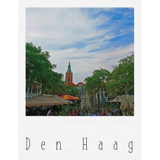 Postkaart - Den Haag - Grote Markt