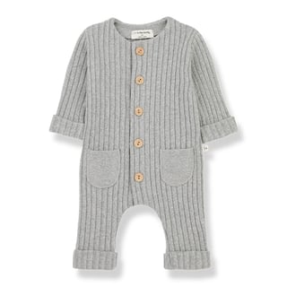 1 + in the Family Alain Nb Jumpsuit Grey