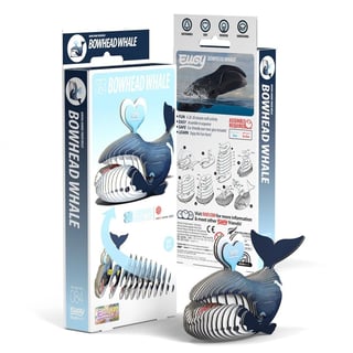 Kartonnen 3D Puzzel Groenlandse Walvis