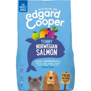 E&C Hond Adult Zalm 700G