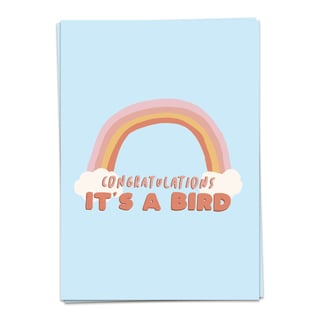 Kaartblanche Cardimals - Animal Love Bird