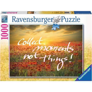 Puzzle 1000st. Collect Moments