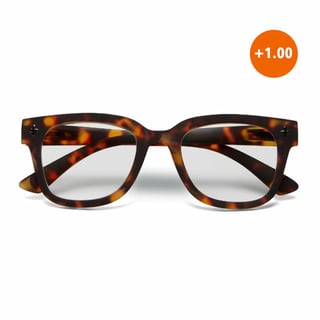 Leesbril GIOVANNI Classic Havana OK017CH