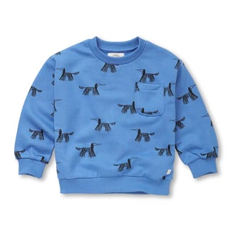 Sproet & Sprout Sweatshirt Pocket Dogs Print Blue Molecule Blue