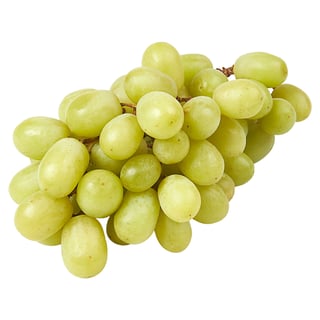 Druiven Pitloos