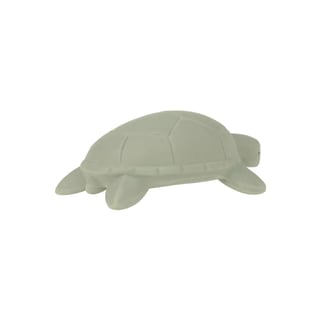 Badspeeltjes Schildpad