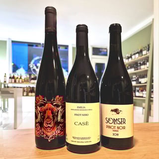 Pinot Noir Trio 323-1