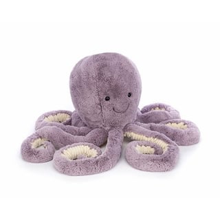 Baby Maya Octopus