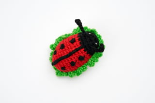Ladybug Broche
