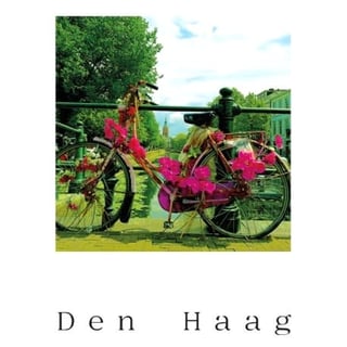 Postkaart - Den Haag - Toussaintkade / Paleistuinen Fiets Met Bloemen