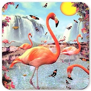 Max Hernn Coaster - Flamingo