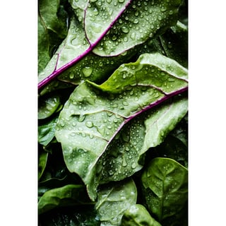 Spinach Feta Toastie