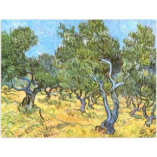 Postkaart - Vincent Van Gogh - Olijfgaard 1889