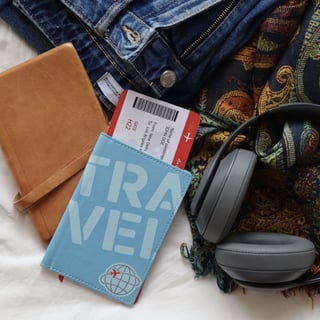 Travel Kikkerland Passport Case