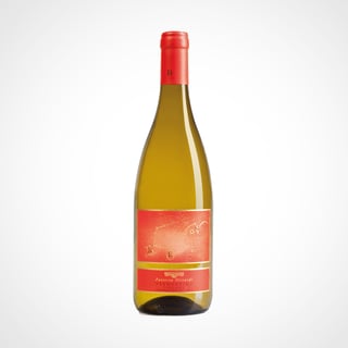 Nittardi Nittardi Ben Vermentino