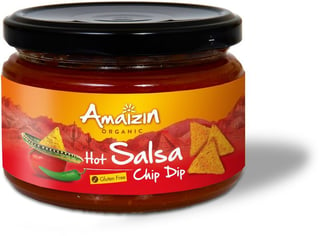 Hot Salsa Chip Dip