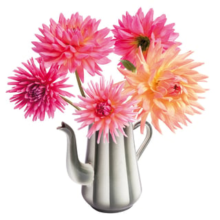 Flat Flowers Dahlia Coffee Pot