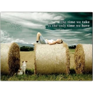 Postkaart - The Time We Take Is the Time We Have