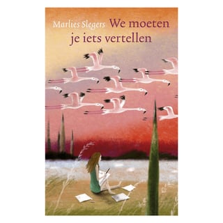 We Moeten Je Iets Vertellen - Marlies Sleegers