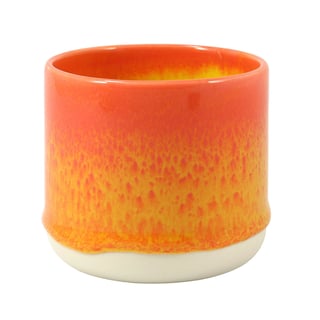 Beker Quench Mug Tropicana