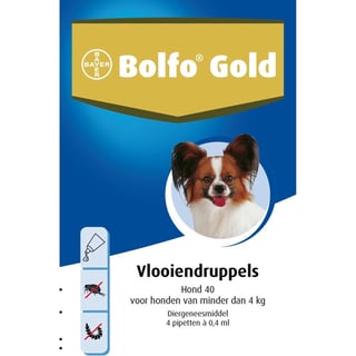 Bolfo Gold Hond 40 - 4 Pipet