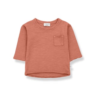 1 + In The Family Longsleeve T-Shirt, Rooibos 