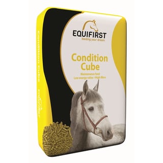 EquiFirst Condition Cube