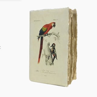 Epigram Notebook A5 Plain Bird and Lobster - Ara Bird